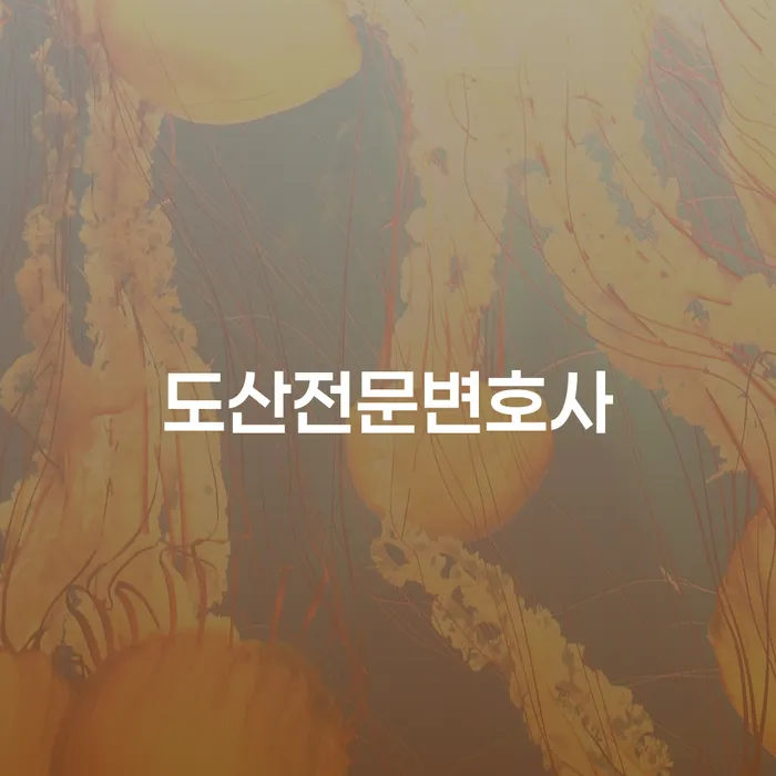 개인회생불이익 개인회생,개인파산으로 노하우들