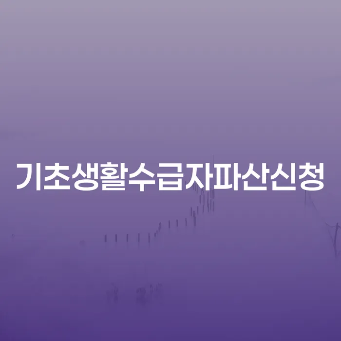 주부파산 개인회생 문제해결방법 관한건