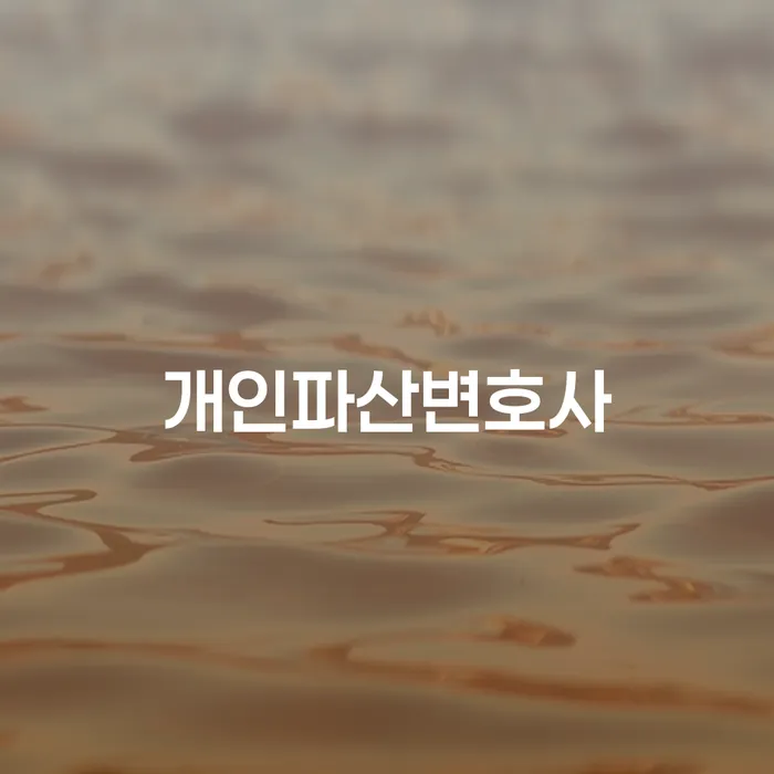 지방법원개인회생 대출 받은 돈채무조정 잘 하는 사무소