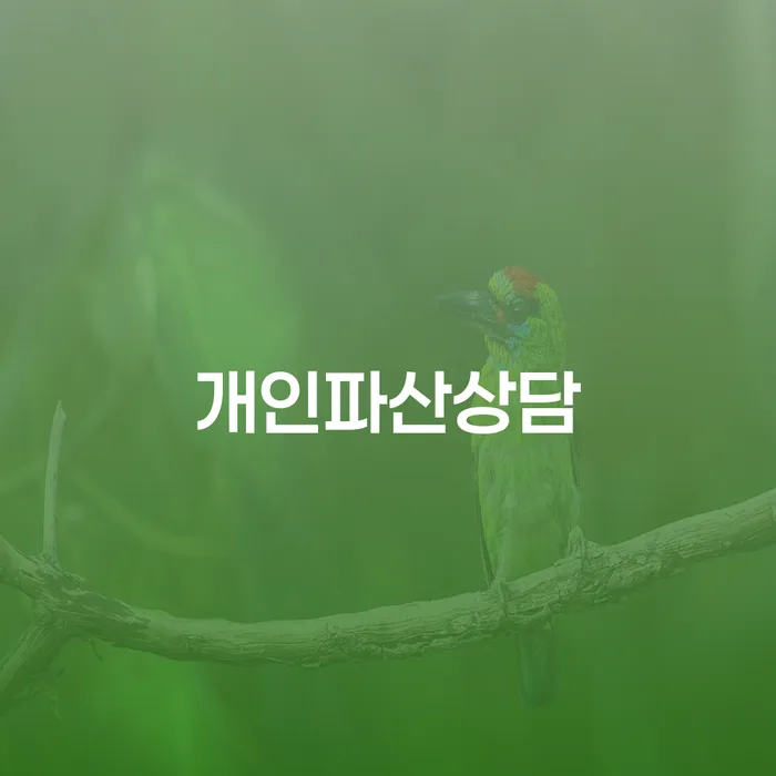 부부회생 빚독촉 있어도