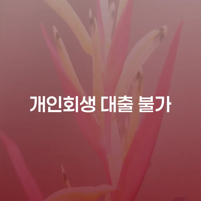 개인회생 대출 불가 상황에서 해결책은 무엇일까요?