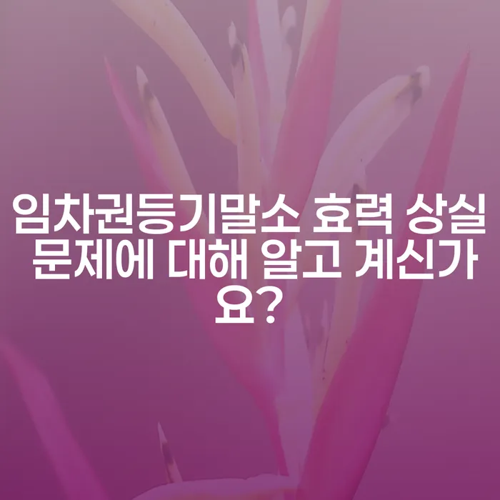 임차권등기말소 효력 상실 문제에 대해 알고 계신가요?