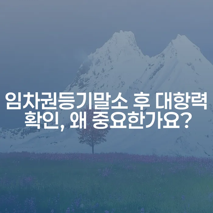 임차권등기말소 후 대항력 확인, 왜 중요한가요?