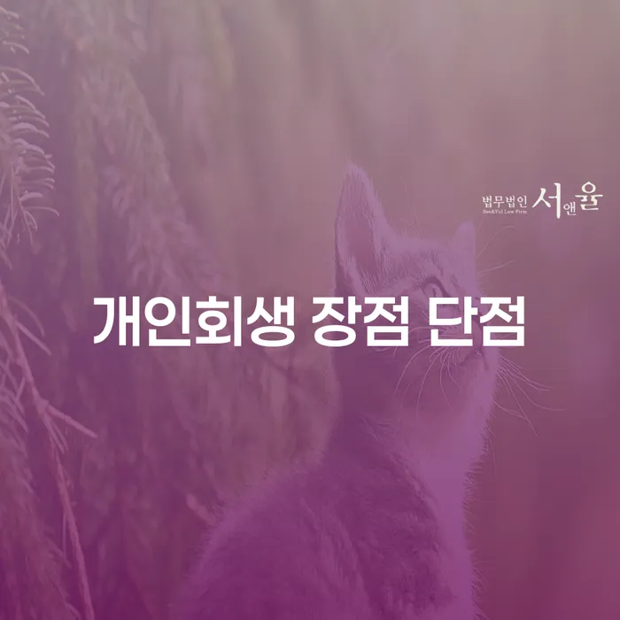 역삼동 개인회생의 장점과 단점: 재정 건강 회복하기